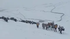 डोल्पा