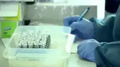corona virus vaccine
