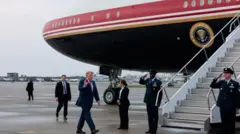 tramp, tramp ulazi u avion