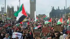 Mitaa ya Uingereza, nchi za Ulaya na Kiarabu, na Marekani bado zinashuhudia maandamano ya kutaka kusitishwa kwa vita huko Gaza.