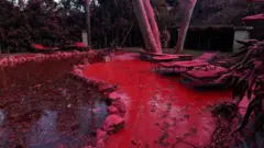 Um jardim avermelhado