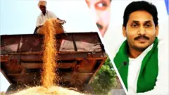 వరిధాన్యం, వైఎస్ జగన్