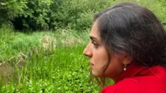 آراس أميري