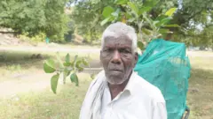 கருப்பையா