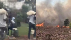 Namoonni wayita hoolota saaman, ooyiruu guban