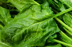 Les épinards peuvent favoriser la santé cardiaque