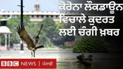 ਕੋਰੋਨਾ ਲੌਕਡਾਊਨ ਵਿਚਾਲੇ ਕੁਦਰਤ ਲਈ ਚੰਗੀ ਖ਼ਬਰ