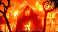 Тушение пожаров в Лос-Анджелесе 