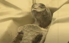 एलियन