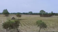 DeltaStory
