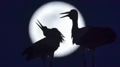 एप्रिल महिन्यातल्या पौर्णिमेच्या दिवशी हा फोटो घेण्यात आला.