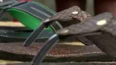 fish leather