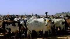 Shanun fulani makiyaya