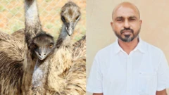 ஈமு கோழி மோசடி: குருசாமிக்கு 10 ஆண்டு சிறை, 19 கோடி அபராதம் - இழந்த பணம் எப்போது கிடைக்கும்?