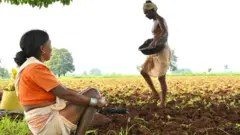 आदिवासी समुदाय 