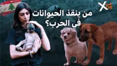 صورة من تقرير لبي بي سي إكسترا