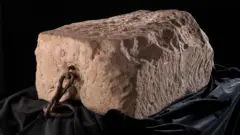 அரச குடும்பம், இங்கிலாந்து