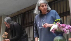 پرستو فروهر 