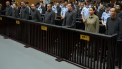 ਮਿੰਗ ਪਰਿਵਾਰ ਦੇ ਕੁੱਲ 39 ਮੈਂਬਰਾਂ 