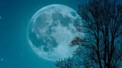 Blue moon