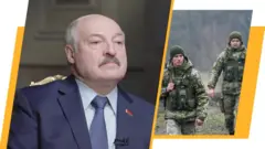 теленовини