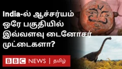 இந்திய டைனோசர்கள்