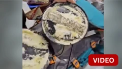 காணொளி: டெல்லி விமானநிலையத்தில் உயர் ரக கஞ்சா பறிமுதல்