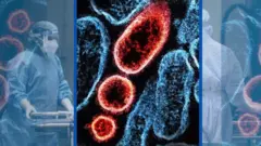 An illustration of the Nipah virus and two medical workers in protective gear on each side of the graphics