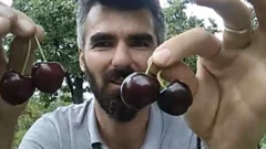 togrul ceferov