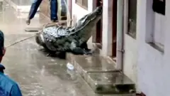 మొసలి