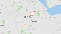 ካርታ ደቡብ ወሎ