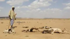 Somalia