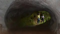 பெரும் கரடிகள் தோண்டிய சுரங்கப்பாதைகள்