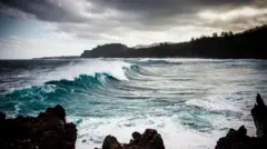 પ્રતીકાત્મક તસવીર