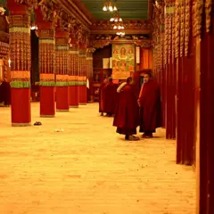 Monges tibetanos na oração matinal