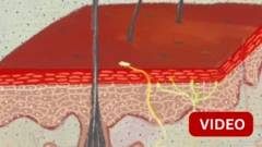 மன அழுத்தம் ஏற்படுத்தும் தோல் பாதிப்புகள் - அறிவியல் பின்னணி