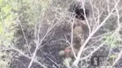 Зйомка з дрона - через дерева видно, як з отвору у землі виліз військовий 