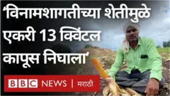 औरंगाबाद जिल्ह्यातल्या बोदवडचे शेतकरी गणेश गव्हाणे एसआरटी म्हणजेच विनामशागतीचं तंत्रज्ञान वापरून शेती करत आहेत.