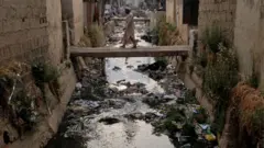 Kwatami a Kano