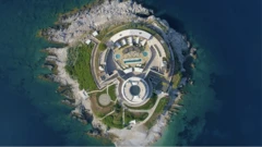 mamula