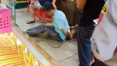 ဝင်ရောက်ဖျက်ဆီးသူက တရုတ်နိုင်ငံသားဖြစ်ပြီး၊စိတ်ကျန်းမာရေးချွတ်ယွင်းသူဖြစ်တယ်လို့ ရဲတပ်ဖွဲ့က ဘီဘီစီကို အတည်ပြု