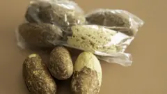 Bitter Kola