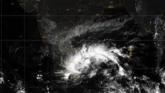 nivar cyclone