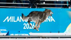 Zaslužio je olimpijsku medalju