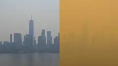 نيويورك
