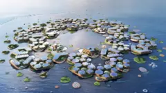 FLOATING HOUSES