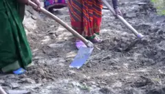 मनरेगा की जगह 'वीबी जी राम जी' क़ानून