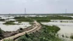 बिहार के दरभंगा में एम्स के लिए प्रस्तावित ज़मीन