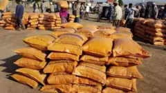 Xaa'oo qonnaan bultootaaf hiramaa jiru