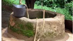 Kanga